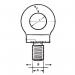 Dropped forged collared eyebolts - Whitworth thread (imperial)., SWL 10.5tonne 313075