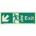 Sign Fire Exit 200 X 450 Photoluminescent Rigid 318367