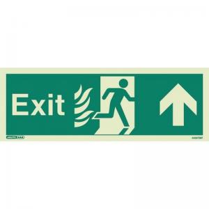 Sign Fire Exit 200 X 450 Photoluminescent Rigid 318395