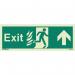 Sign Fire Exit 200 X 450 Photoluminescent Rigid 318395