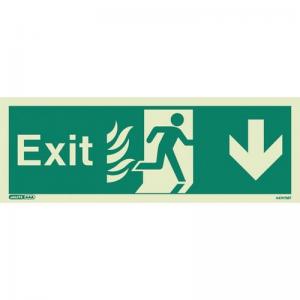 Sign Fire Exit 200 X 450 Photoluminescent Rigid 318407