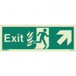 Sign Fire Exit 200 X 450 Photoluminescent Rigid 318431