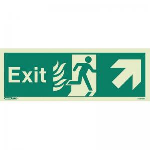 Sign Fire Exit 200 X 450 Photoluminescent Rigid 318431