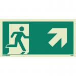 Emergency Exit Sign 200 X 400 Rigid 318564