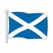 Flags - St Andrews Cross 321548