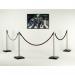 Economy rope barrier - standard posts 349735