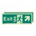 Photoluminescent Sign htmexit Up Left Right H X W: 200 X 450 387282