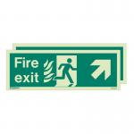 Photoluminescent Sign htmfire Exit Up Lfet Right H X W: 200 X 450 387288