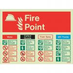 Photoluminescent Sign firepoint H X W: 300 X 225 387353