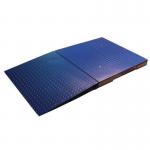 Platform scale ramps for 1500mm wide platform 388532