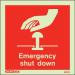 Emergency Shut Down Sign 389812