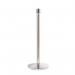 Polished stainless steel posts with crown top (Pack of 2) 395812