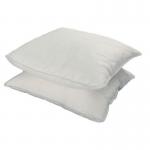 Sorbant Cushion 30 cm X 35 Cm, Boxedpack of 20 396035