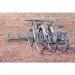 Wall and floor mounting cycle racks 403768