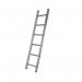 Single section aluminium ladder 404993