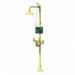Free Standing Combination Showerwith Plastic Shower Head and Bowl 405588
