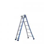 Platinium 300 Combination Ladder 2X6