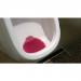 P-Wave 1.5 Urinal Screen Spiced Apple