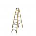 Fibreglass Swingback Step Ladder,10 Tread, En-131 Professional 410934