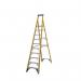Fibreglass Platform Step Ladder,10 Tread, En-131 Professional 410940