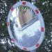 Reflective Circularmirror - 800 mm Dia 412120