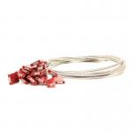 Car Seal 1000 mm X 2.5 mm -red (pack of 100) Sequentially Numbered 415991