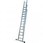 Double Section 21 Rung Ladder 5.5 m 418278