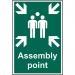 Assembly Point - Sapp (200 X 300 Mm) 421296
