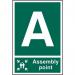 Assembly Pointa - Sapp (200 X 300 Mm) 421301