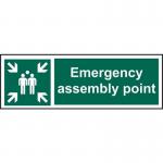 Emergency Assemblypoint - Sav (300 X 100 Mm) 421306