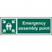 Emergency Assemblypoint - Sav (300 X 100 Mm) 421306
