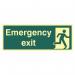 Emergency Exit -photolum. (400 X 150 Mm) 421366