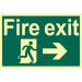 Fire Exit Running Manarrow Right - Phs (300 X 200 Mm) 421383