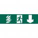 Running Man Arrowdown - Sapp (200 X 50 Mm) 421396