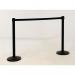 Budget retractable barrier 421934