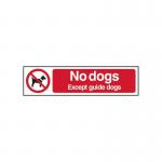 No Dogs Except Guidedogs - Sapp (200 X 50 Mm) 422146