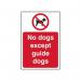 No Dogs Except Guidedogs - Sav (200 X 300 Mm) 422148