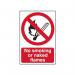 No Smoking of Nakedflames - Sapp (200 X 300 Mm) 422266