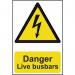 Danger Live Busbars- Sapp (200 X 300 Mm) 423042