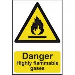 Danger Highly Flammablegases - Sapp (200 X 300 Mm) 423220