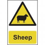 Sheep - Corex (200 X 300 Mm) 423287