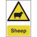 Sheep - Corex (200 X 300 Mm) 423287