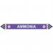 Flow Marker - Ammonia(violet - 5 Pack) 423478