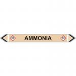 Flow Marker - Ammonia(yellow Ochre - 5 Pack) 423479