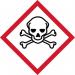 Ghs Skull & Cross Bonessymbol - Sav (100 X 100 Mm) 423652