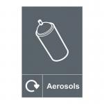 Recycling: Aerosols- 1.2 mm Recyclable Pp (200 X 300 Mm) 423877