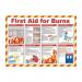 Safety Poster- First Aid for Burns 424575
