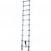 Telescopic Ladder - 2.9 M, 10 Tread 424974