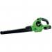 D 20 Garden Leaf Blower 1 X 2.0 Ah Battery and Charger 425484