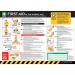 Safety Poster : Workplace Firstaid Guide (covid-19) - Pvc Poster (594 X 420 Mm) 426207